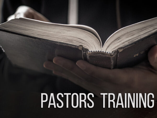 Lesson 08 - Pastors, Churches and Political Activity Image